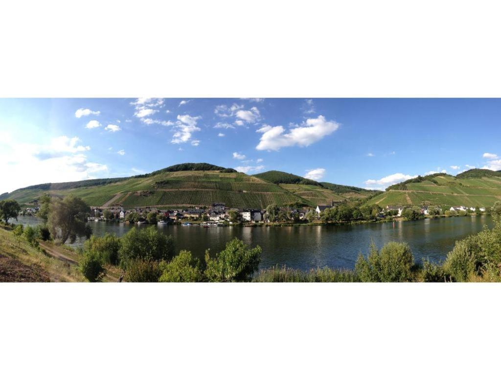 Ferienwohnung Am Moselufer เซลล์อันแดร์โมเซล ภายนอก รูปภาพ